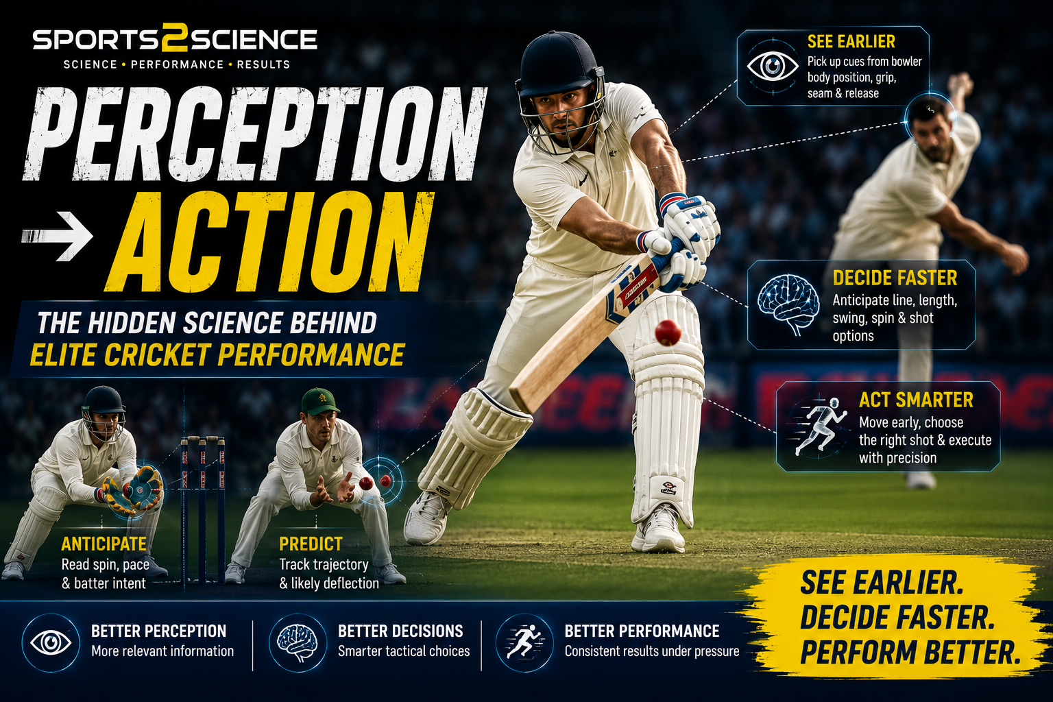 perception-action-coupling-in-cricket
