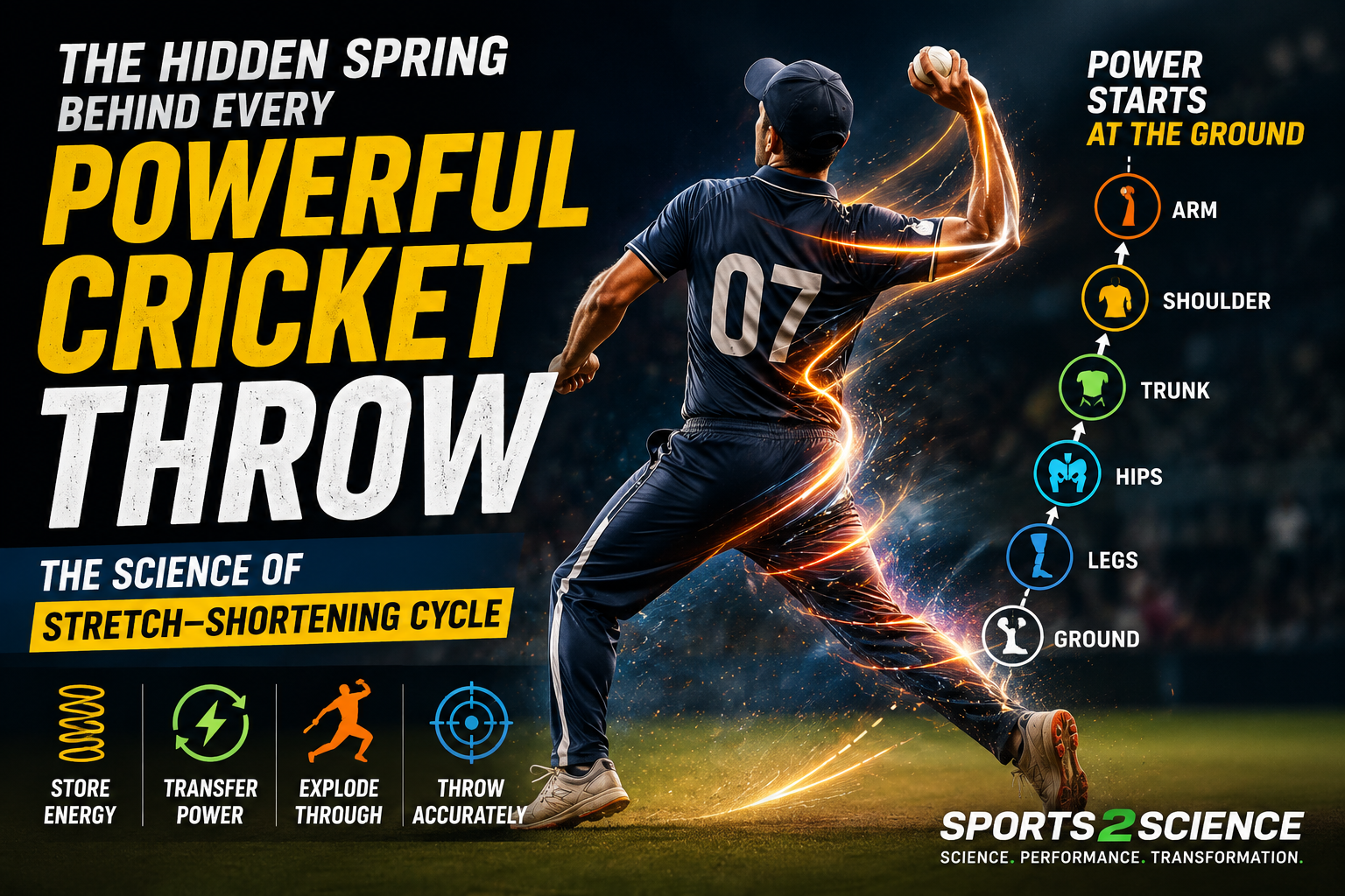 Cricket fielder performing a powerful throw showing force transfer from legs through hips, trunk, shoulder, and arm using the stretch-shortening cycle.